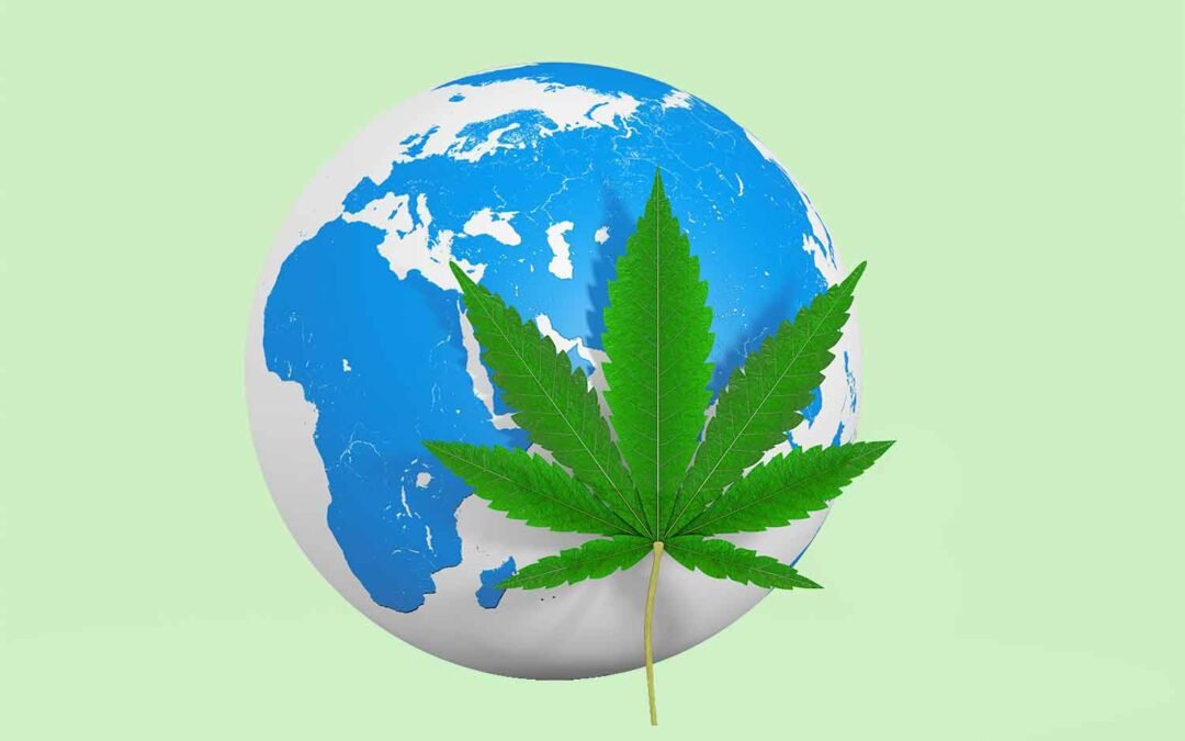 Explorando el mundo de los canabinoides: CBG, CBN y más…