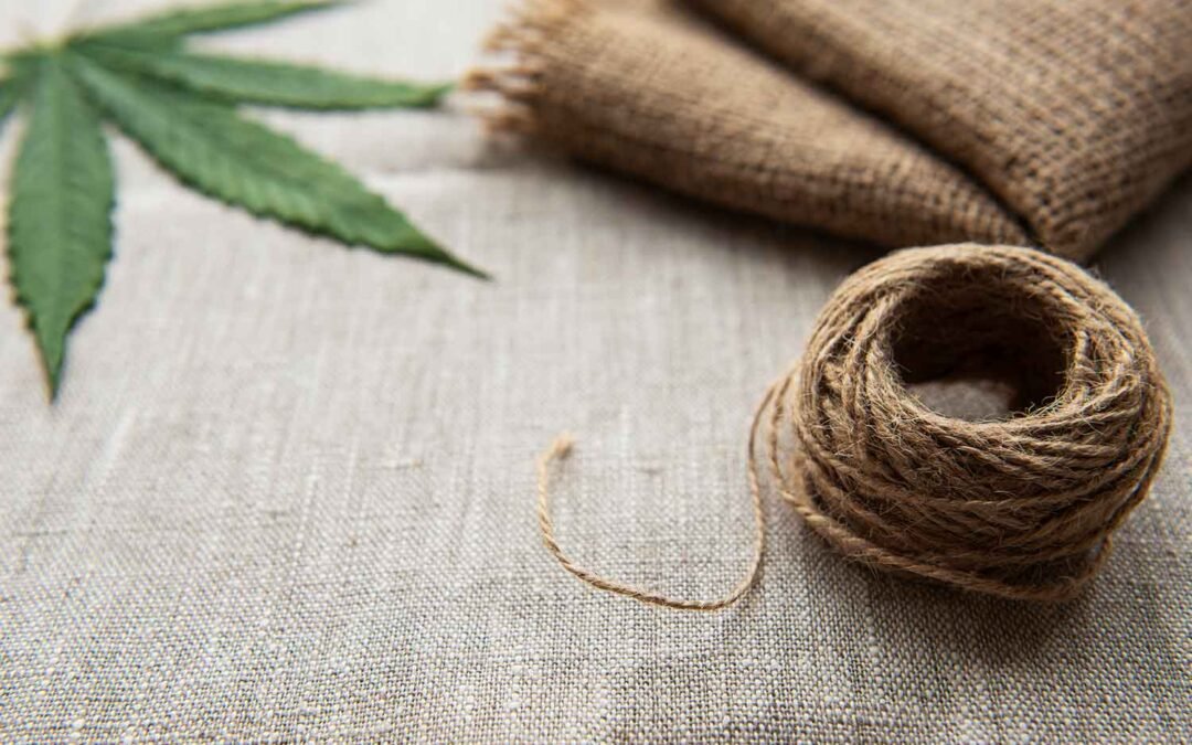 ¿Qué es el cáñamo? Un viaje al corazón de una planta milenaria