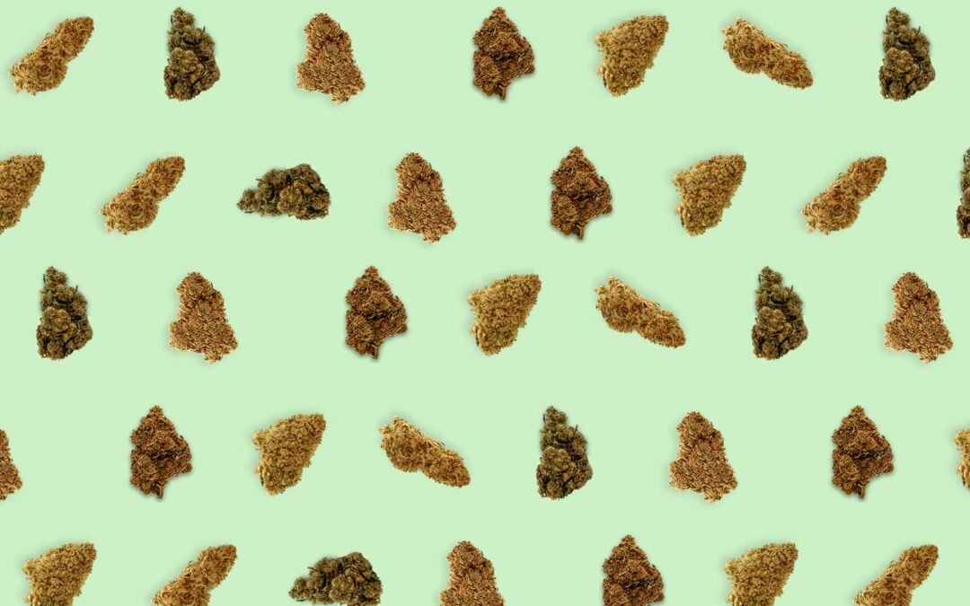 Tipos de flores de CBD: un viaje a través de aromas y sabores